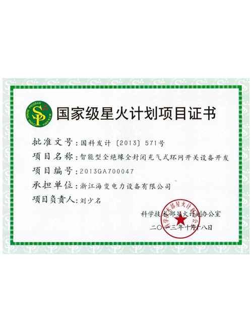 State-level Spark Program project Certificate